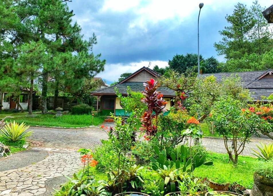 פונקאק Designer Villa Osaka מראה חיצוני תמונה