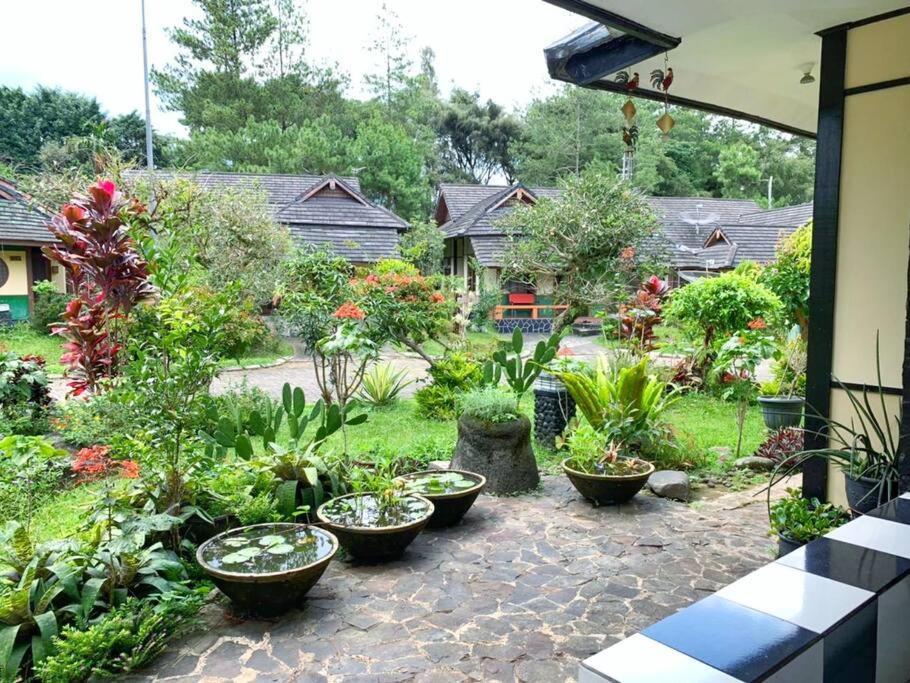 פונקאק Designer Villa Osaka מראה חיצוני תמונה