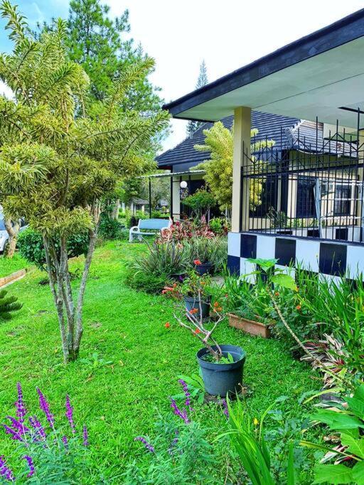 פונקאק Designer Villa Osaka מראה חיצוני תמונה